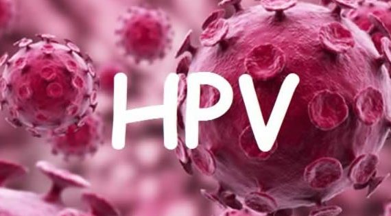 O que é HPV?